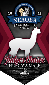 NEAOBA Fall Halter Show