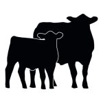 Cow/Calf Silhouette 2