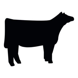 Heifer Silhouette