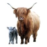 Highland Cow/Calf