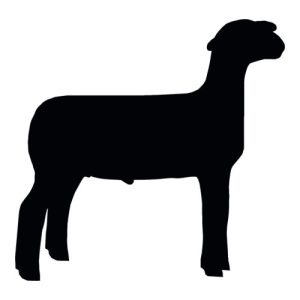 Lamb Silhouette 1