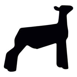 Lamb Silhouette 2