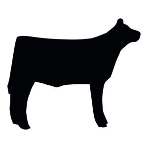 Steer Silhouette 3