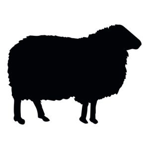 Wool Sheep Silhouette