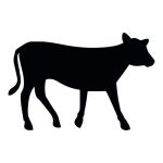 Yearling Cow Silhouette