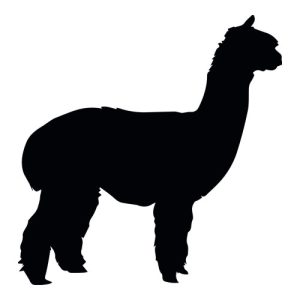 Alpaca Silhouette 1