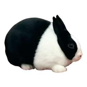 Black Rabbit 3