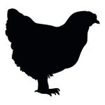 Chicken Silhouette 1