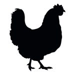 Chicken Silhouette 4