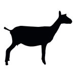 Dairy Goat Silhouette 2