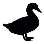 Duck Silhouette