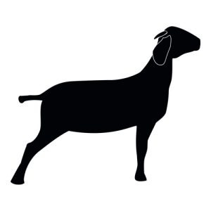 Goat Silhouette 1