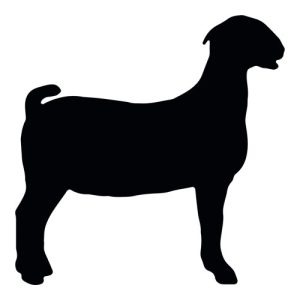Goat Silhouette 3