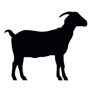 Goat Silhouette 5