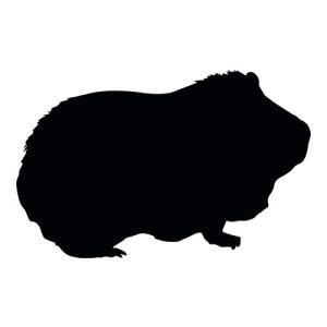 Guinea Pig Silhouette