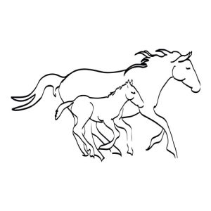 Horse Outlines