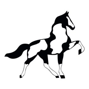 Horse Silhouette 13