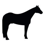 Horse Silhouette 14