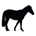 Horse Silhouette 15