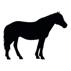 Horse Silhouette 16