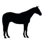 Horse Silhouette 17