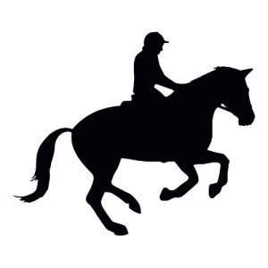 Horse Silhouette 3