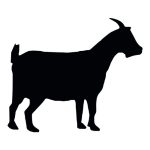 Pygmy Goat Silhouette