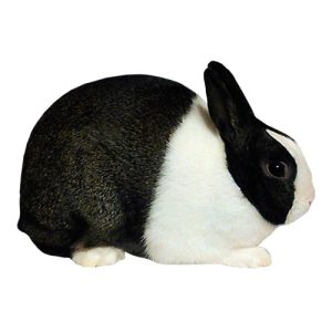 Steel Rabbit 4