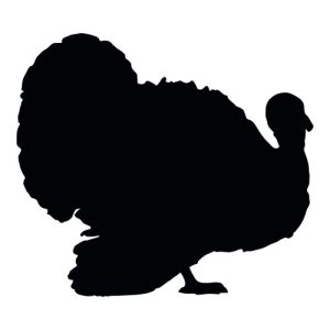 Turkey Silhouette 1