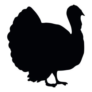 Turkey Silhouette 2