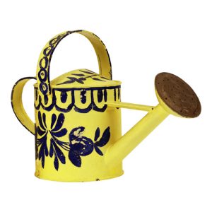 Watering Can