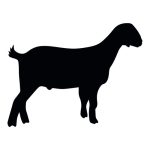Wether Goat Silhouette