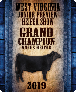 West Virginia Junior Preview Heifer Show