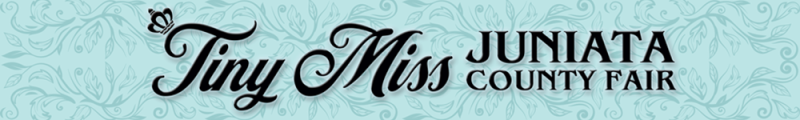 TINY-MISS