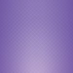 Crisscross 19