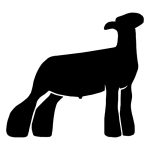 Lamb Silhouette 4