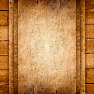 Wanted 7